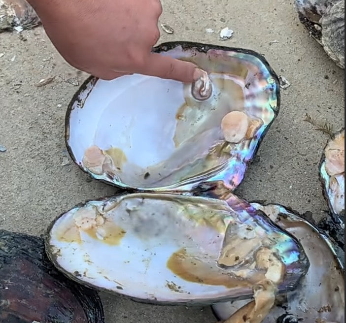 Why 7 years is the maximum cultivation time for freshwater pearls？