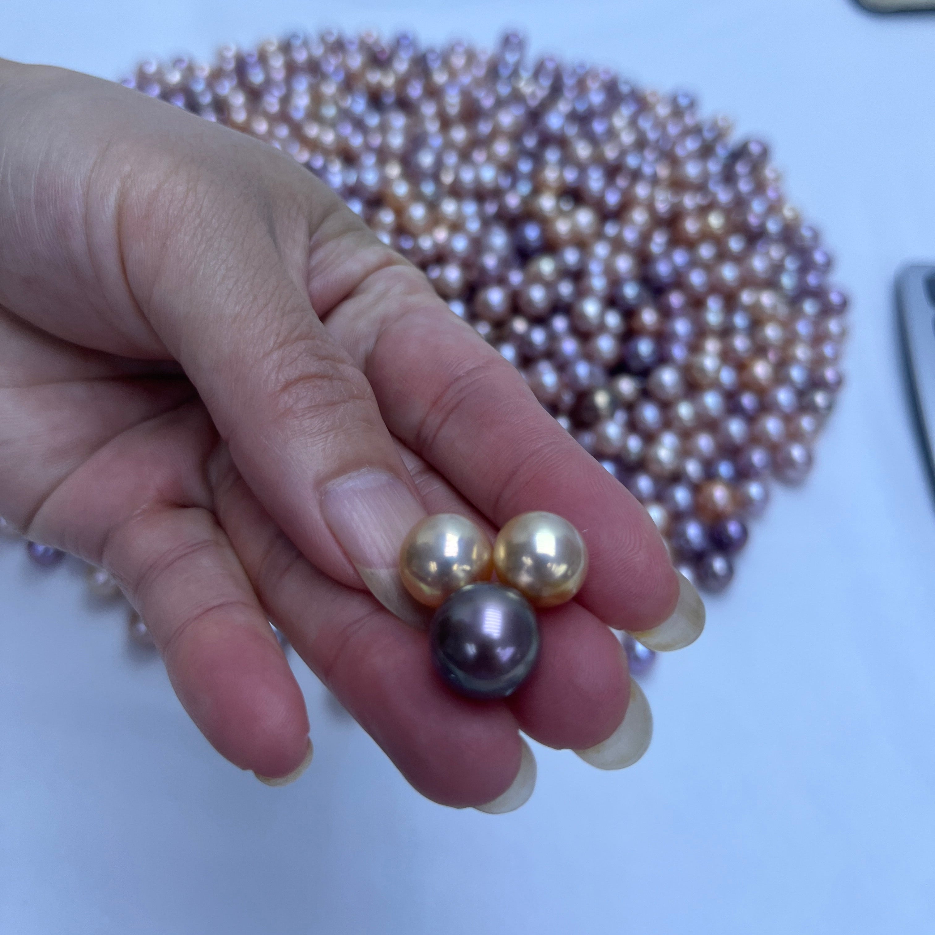 What pearls are popular in zhuji city 2025?