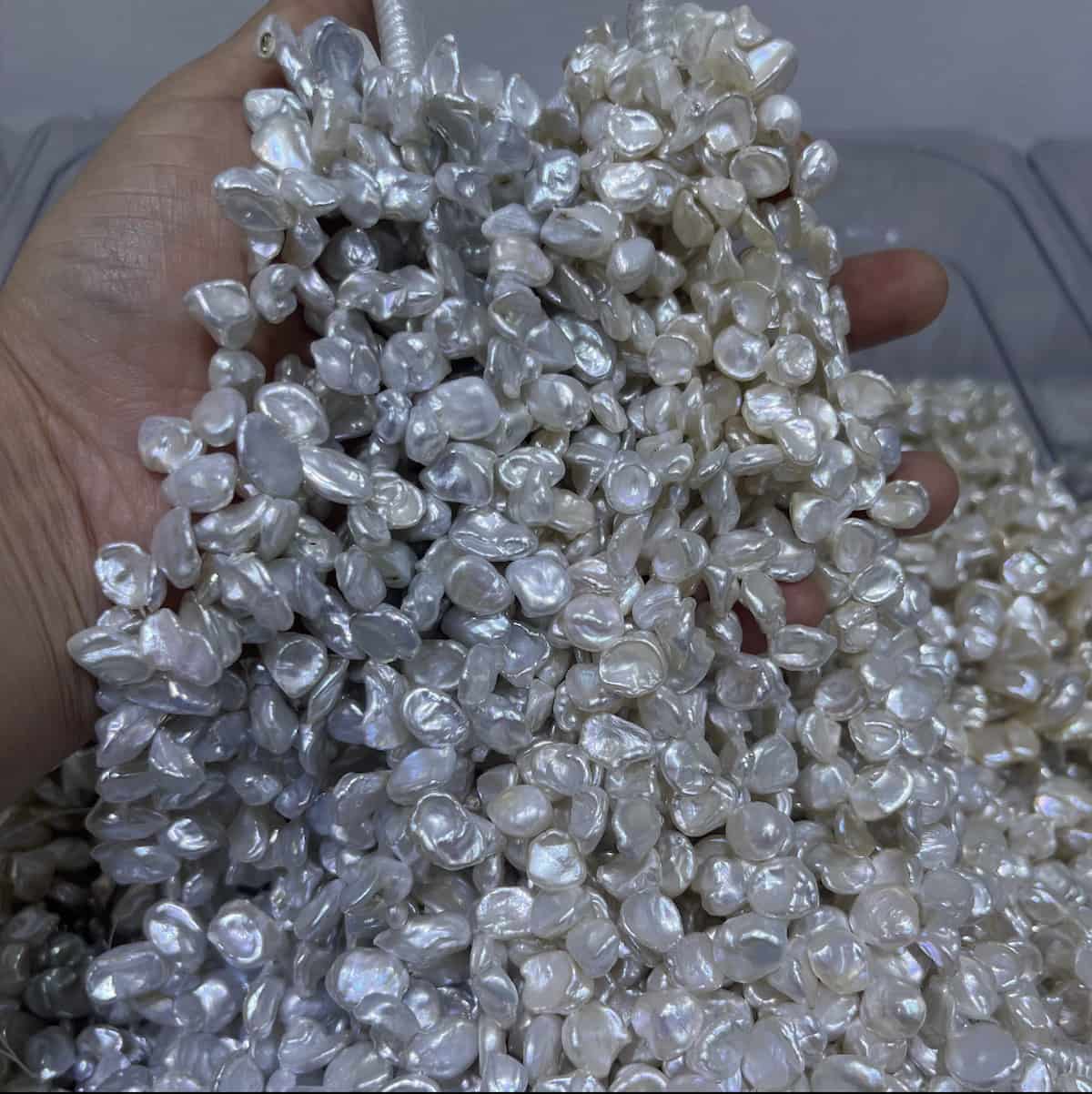  12-14 mm keshi petal pearl strand