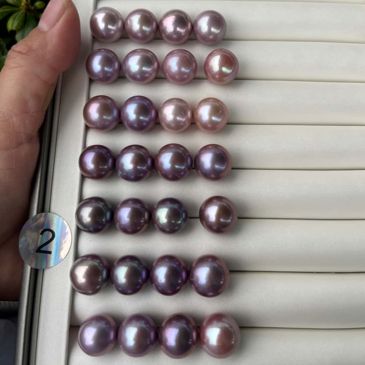 14-15mm Round Purple Edison Pearls freshwater rainbow pearls - 4A