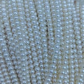 potato_pearl_strand wholesale