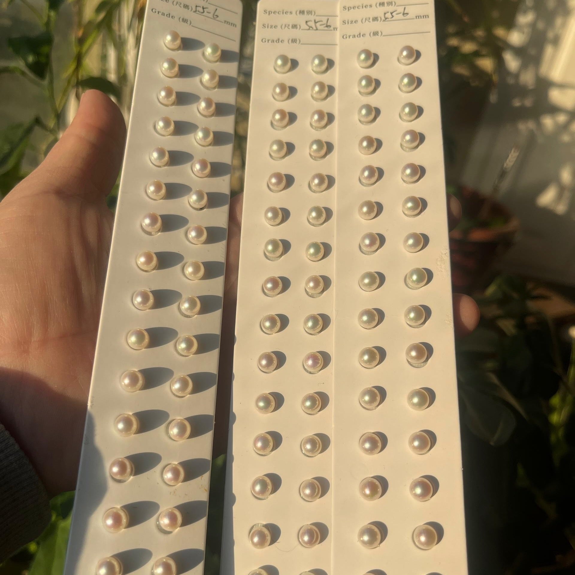 5-6mm_loose_pearl