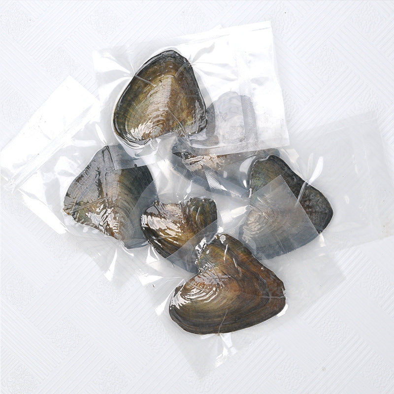 Freshwater Pearl Oysters