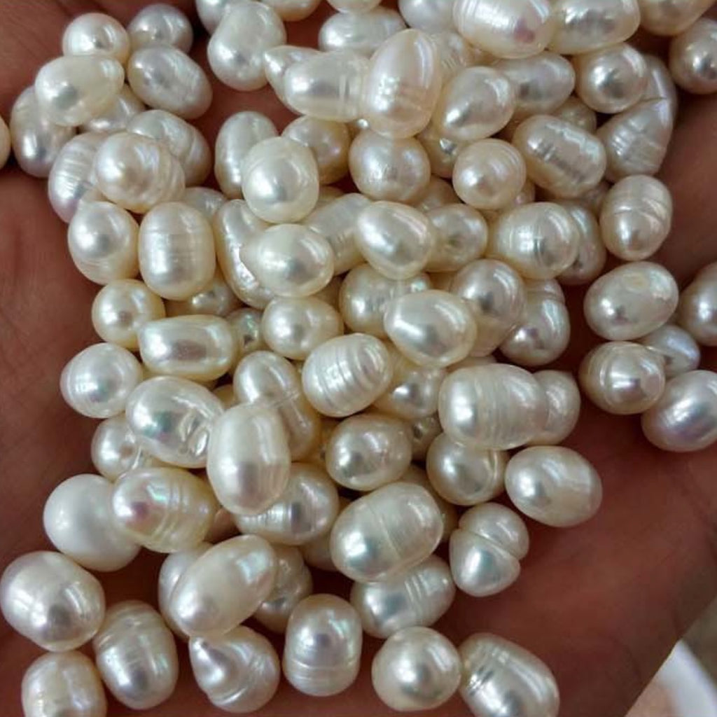 Natural Freshwater Pearl Oysters wholesale 