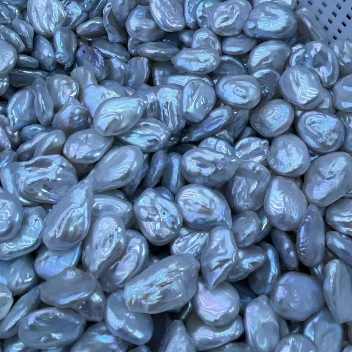 baroque coin loose pearl