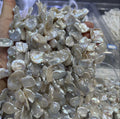 big_size_Keshi petal_pearl_strand