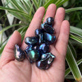dye_peacock_black