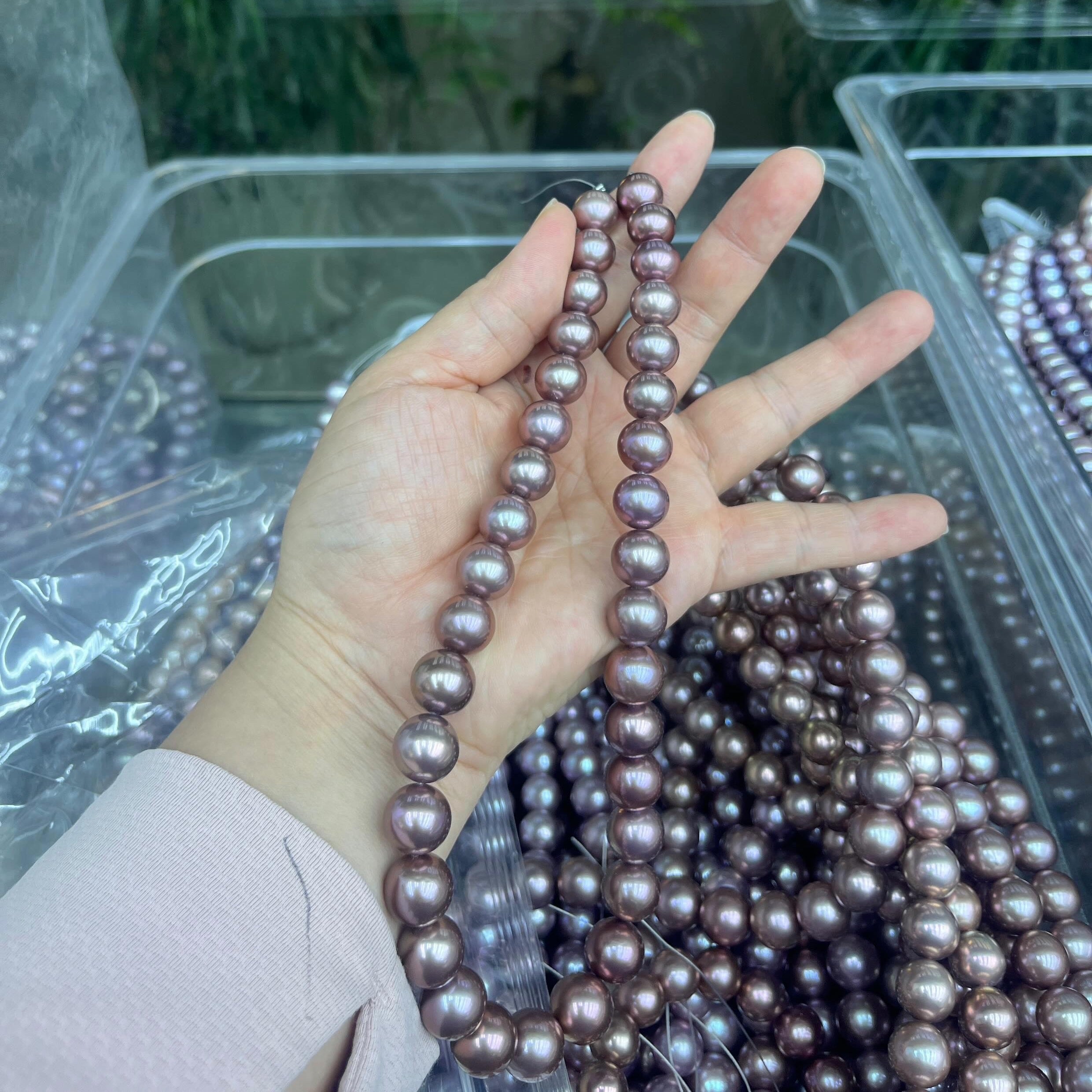 11-14 mm round Reddish Pink pearl strand - 5A